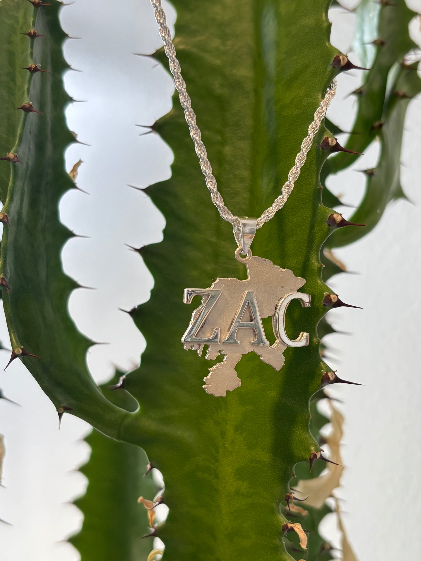 Silver Rope Chain with Zacatecas State Pendant (ZAC)
