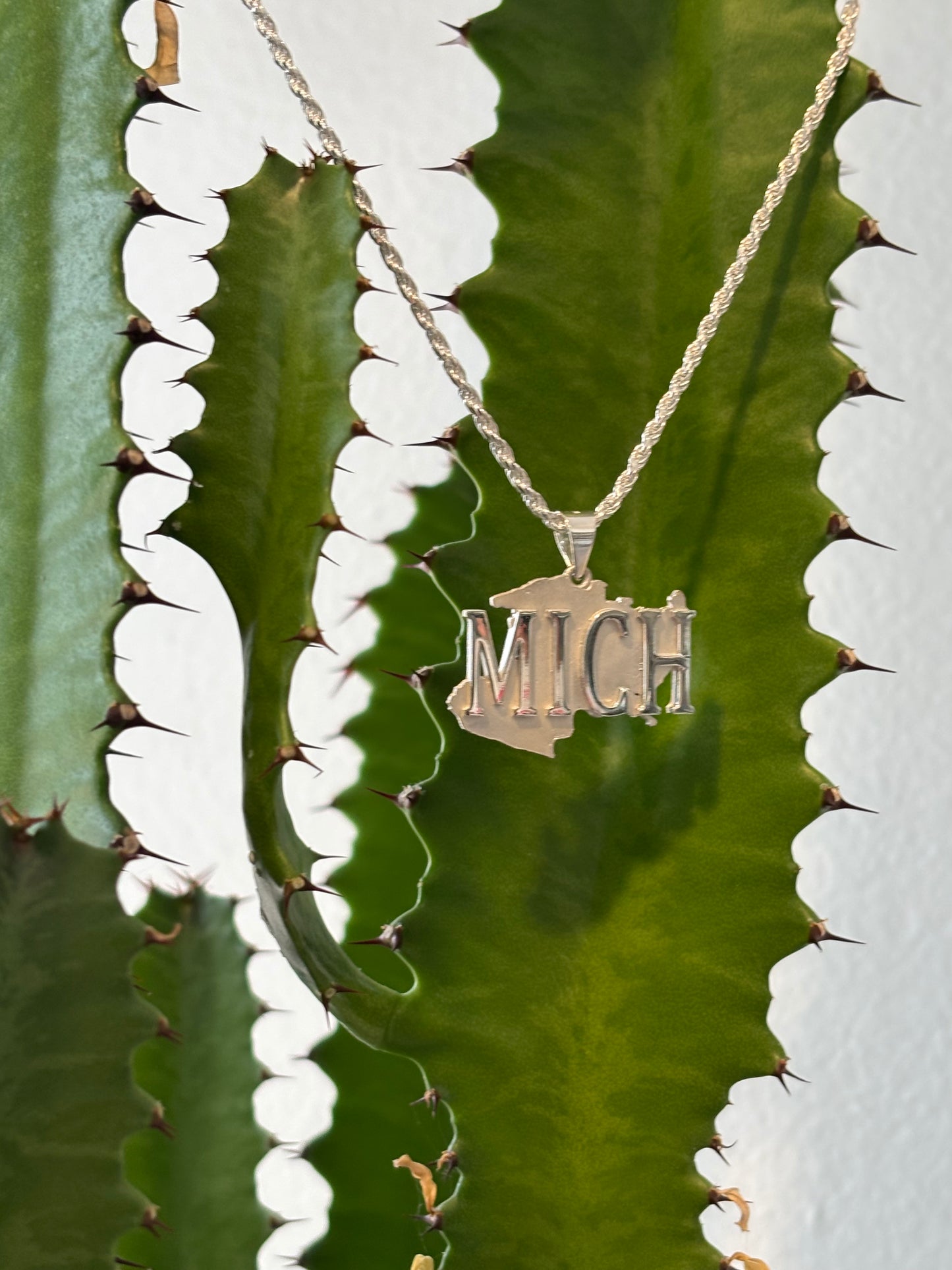 Silver Rope Chain with Michoacán State Pendant (MICH)