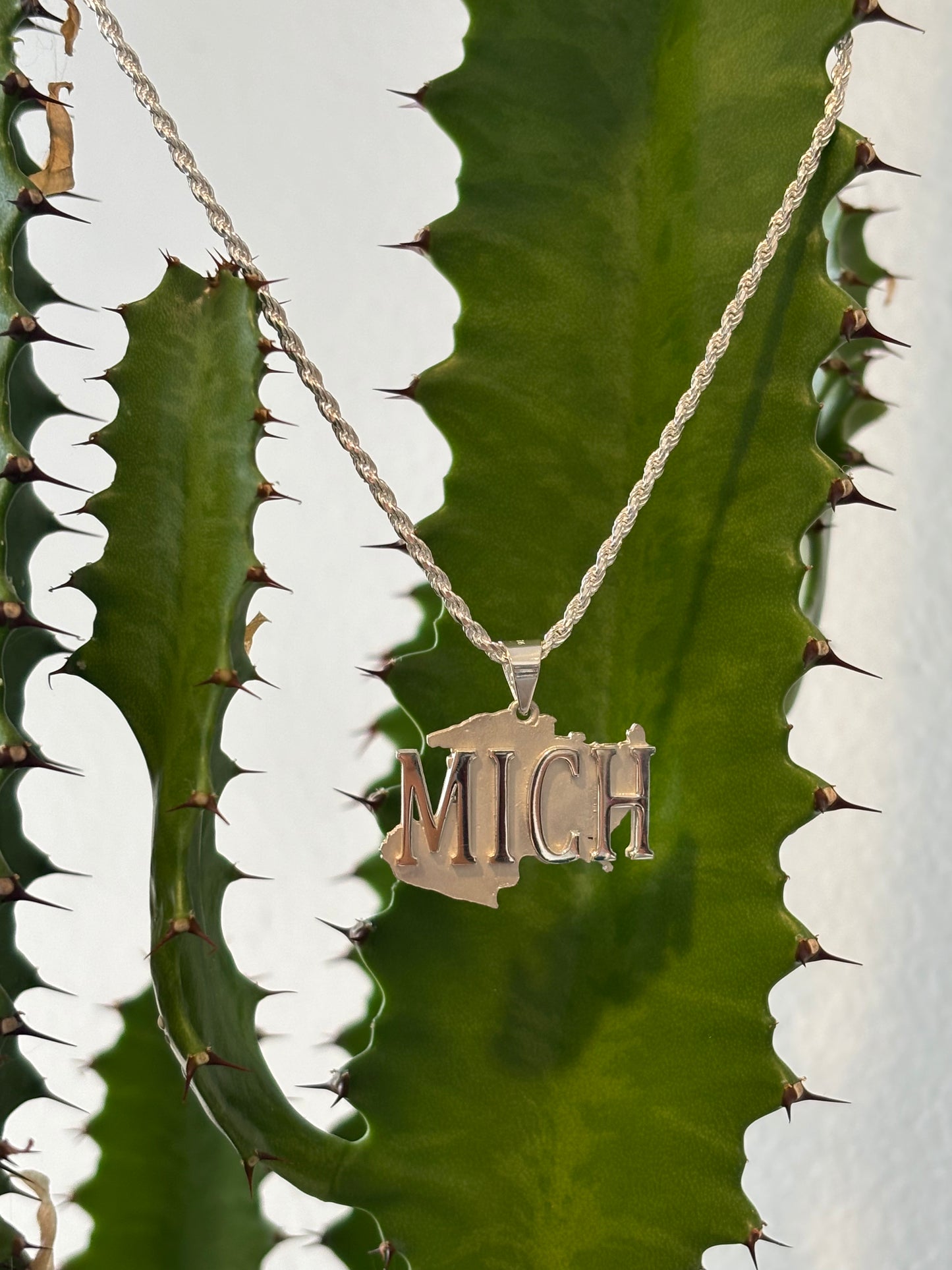 Silver Rope Chain with Michoacán State Pendant (MICH)