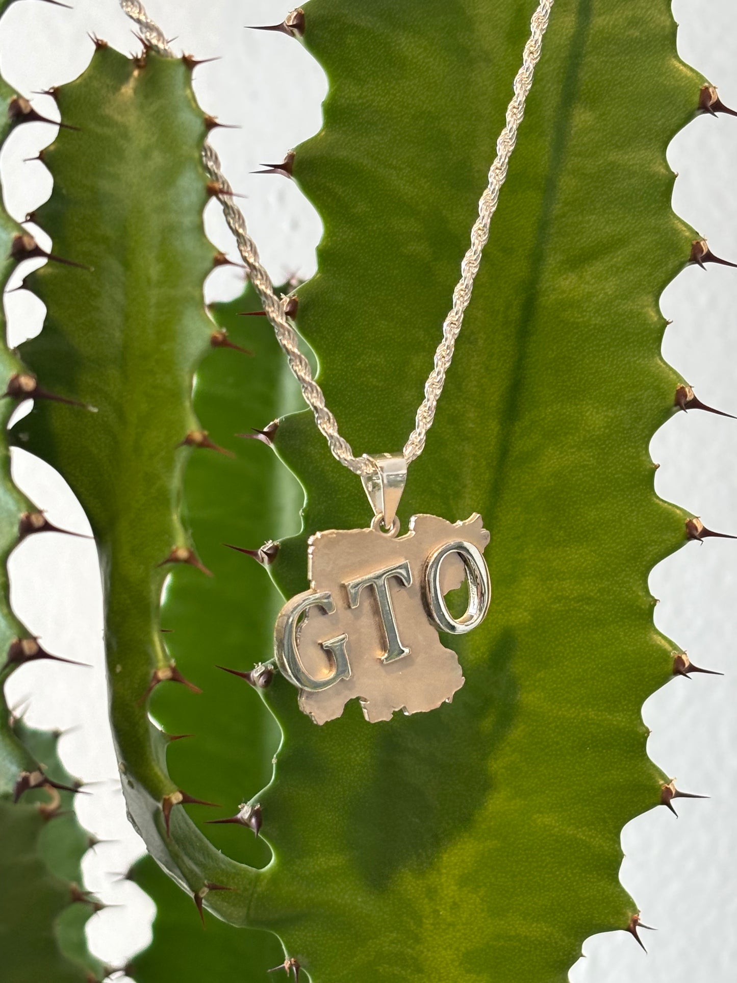 Silver Rope Chain with Guanajuato State Pendant (GTO)