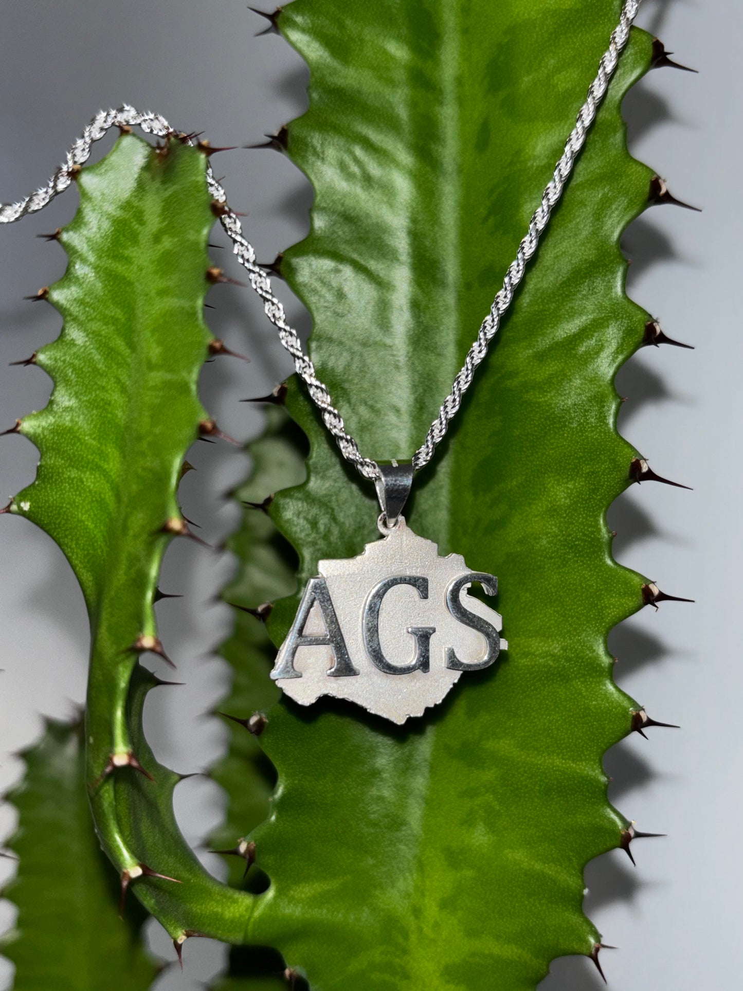 Silver Rope Chain with Aguascalientes State Pendant (AGS)