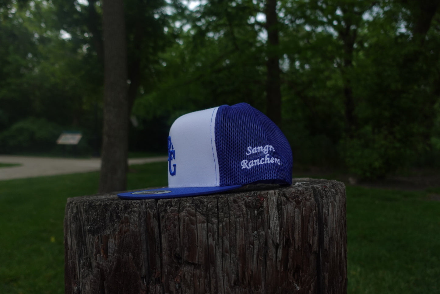 BLUE & WHITE RG LOGO HAT