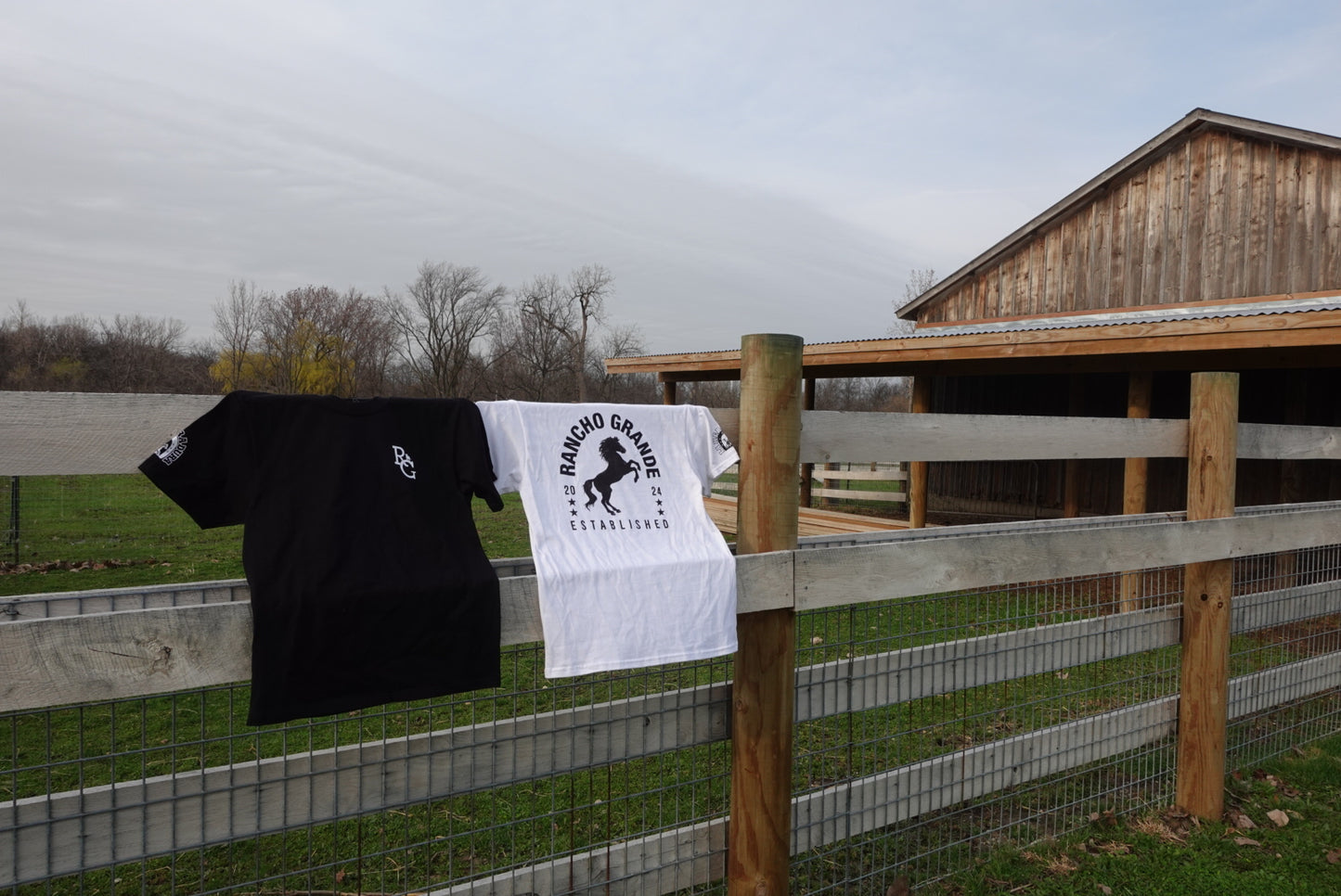 RG Short sleeve T-shirt