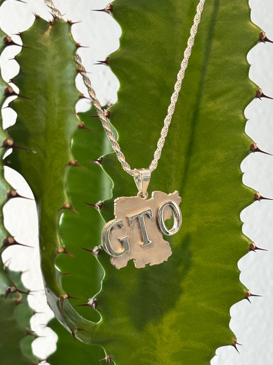 Silver Rope Chain with Guanajuato State Pendant (GTO)